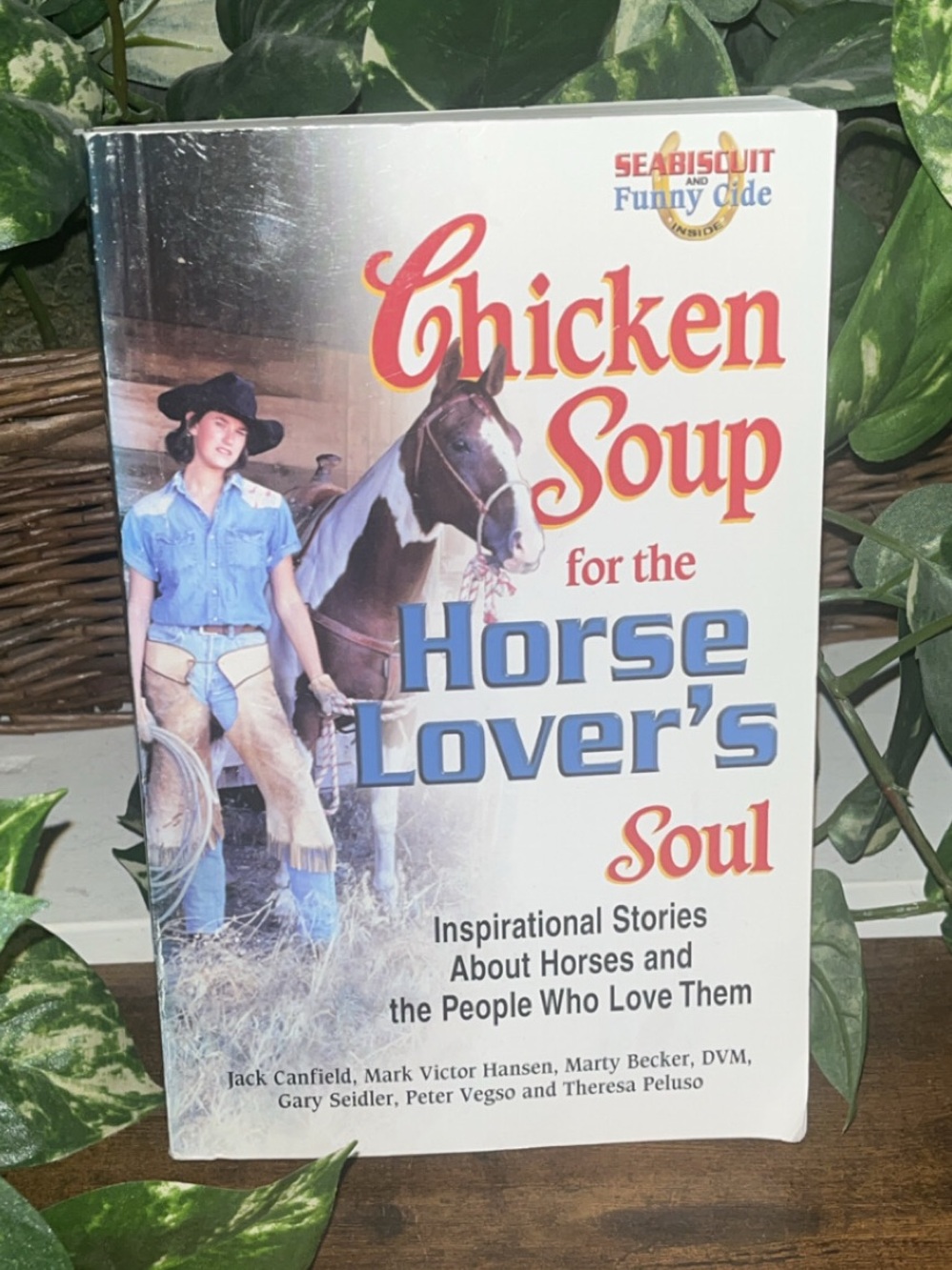 Chicken Soup for the Horse Lover's Soul - Inspirational Stories